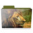 lion folder Icon